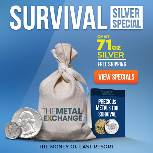 Survival Silver $100 Face Value