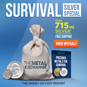 Survival Silver $1000 Face Value